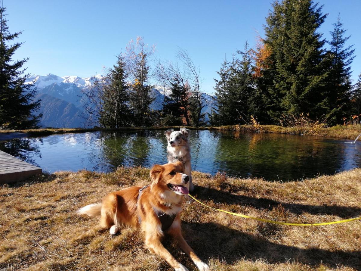 Apartment Hohe Tauern Bramberg am Wildkogel Eksteriør billede