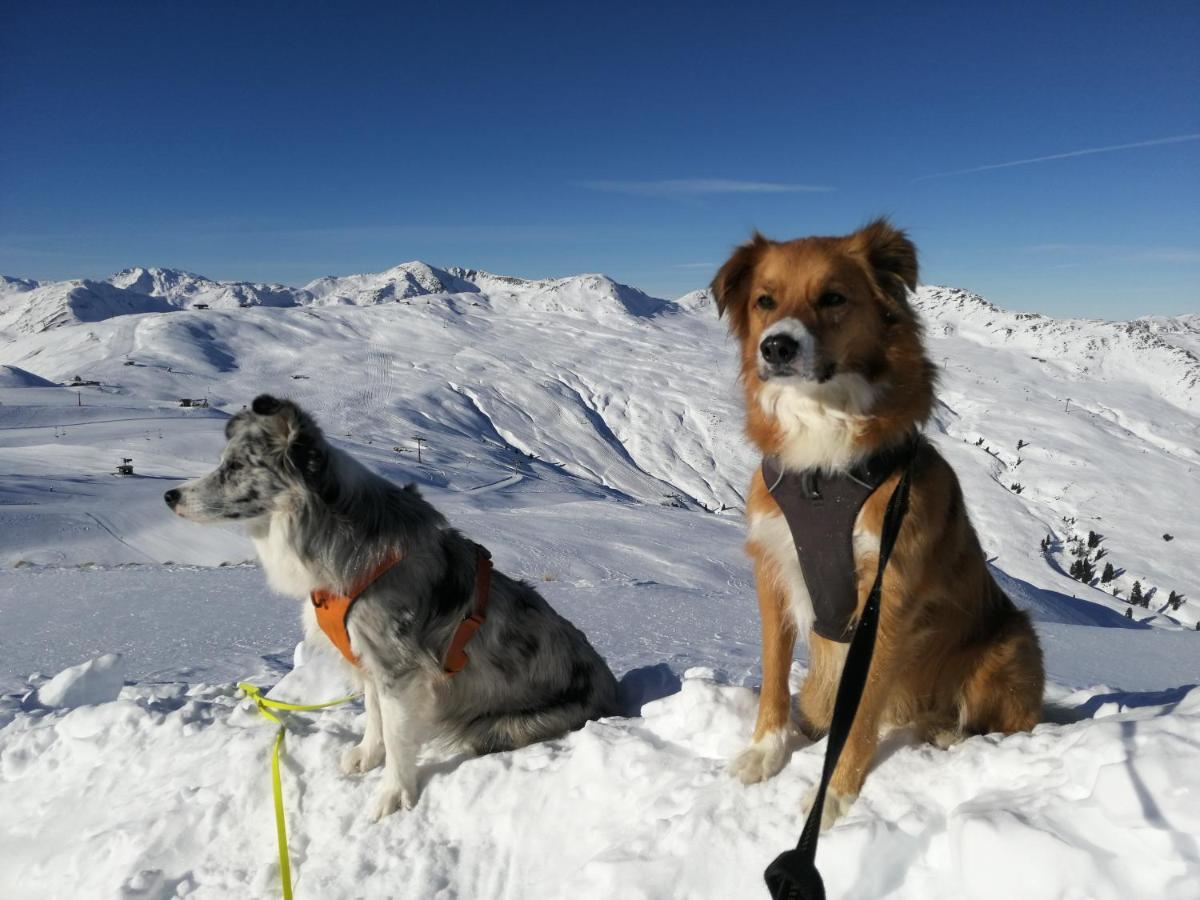 Apartment Hohe Tauern Bramberg am Wildkogel Eksteriør billede