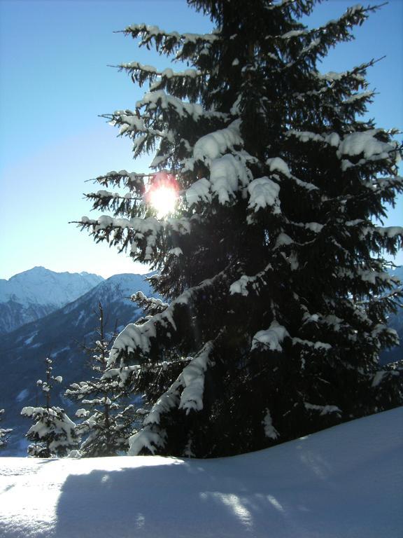 Apartment Hohe Tauern Bramberg am Wildkogel Eksteriør billede